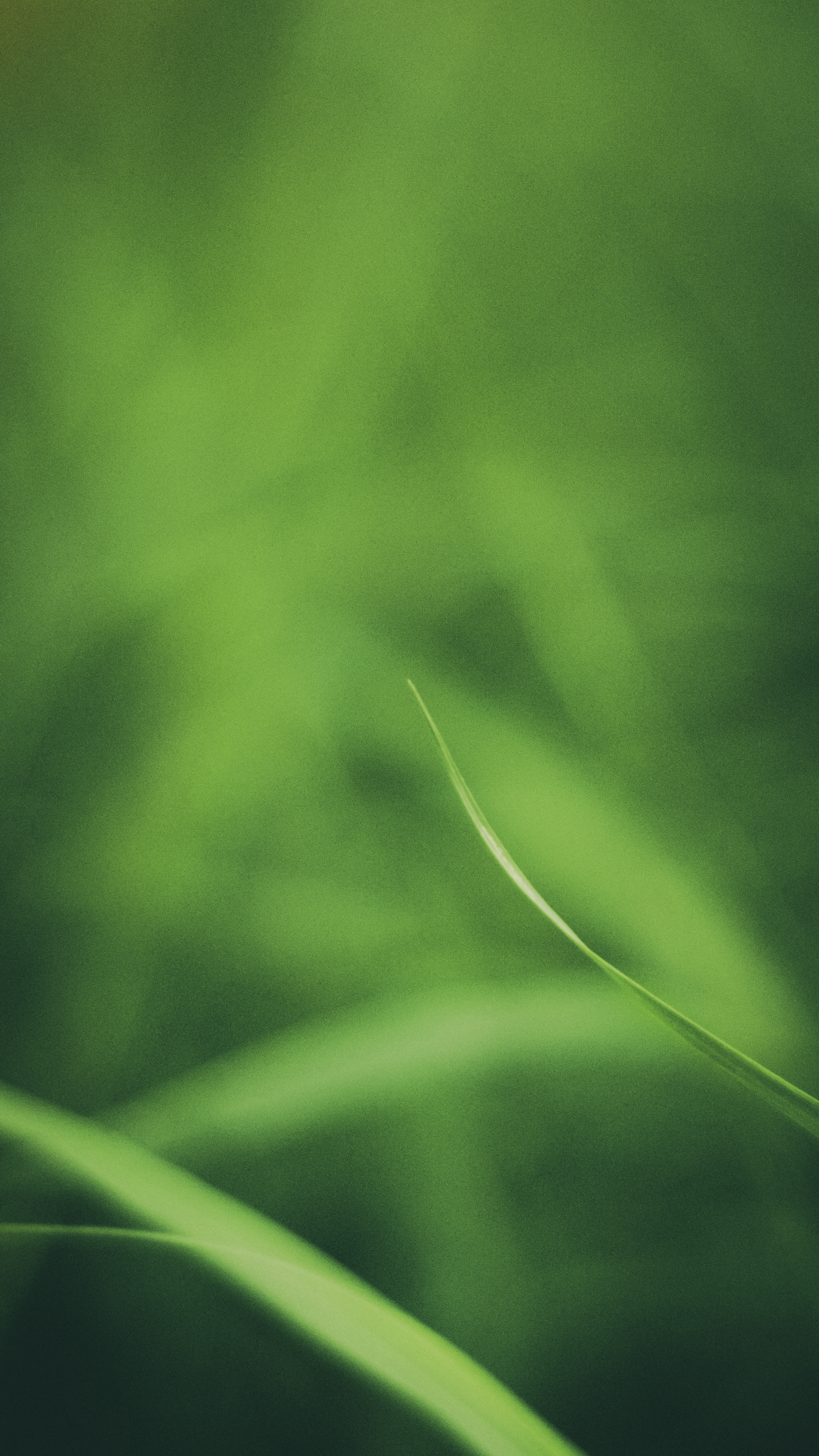 Photo by saintatelier