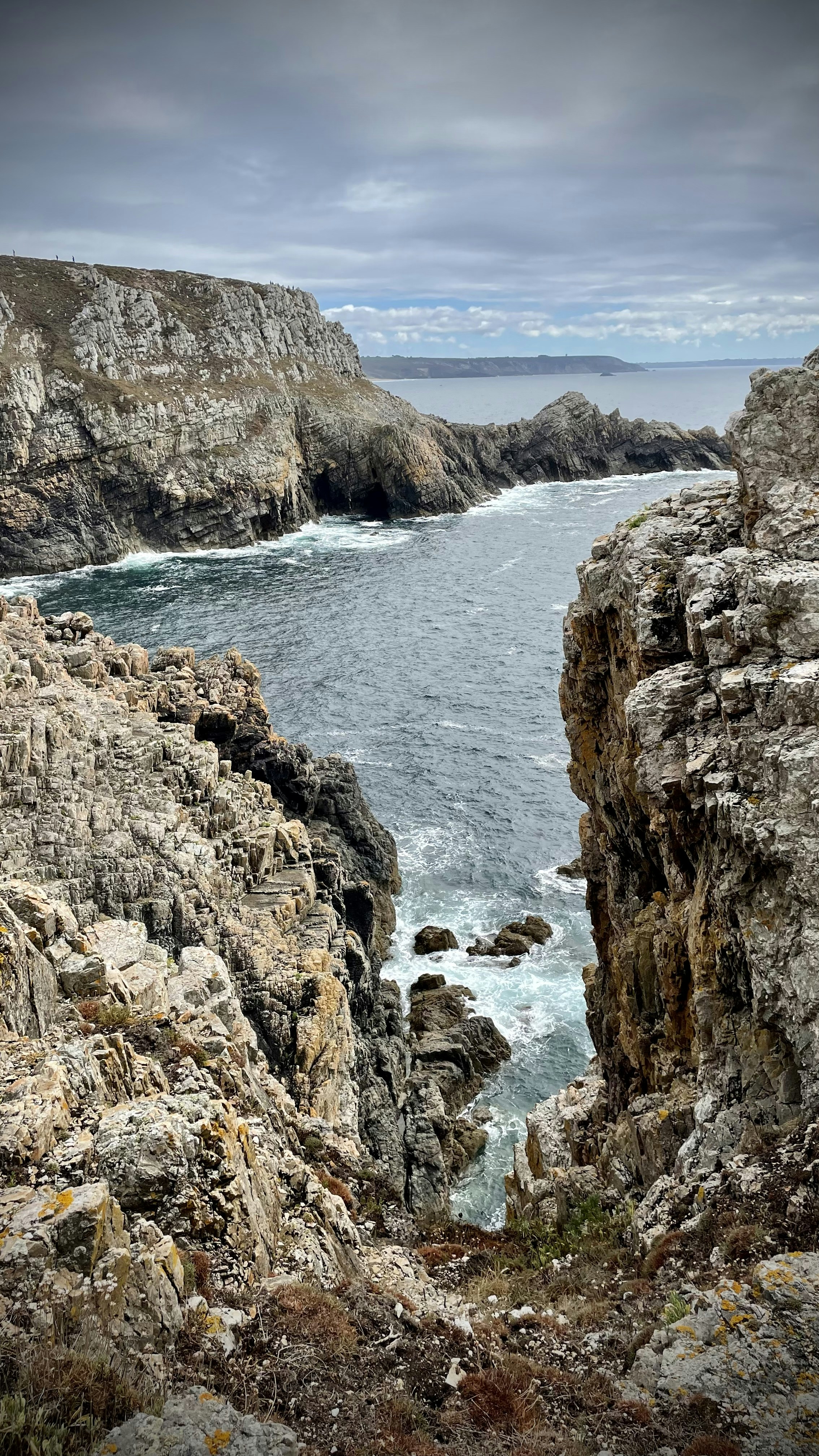 Photo by mondogenerator