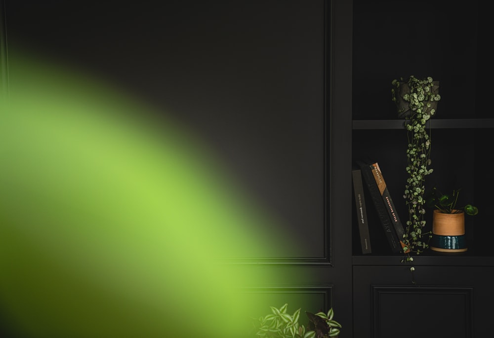 eine grüne Wand mit einer Pflanze und einer Topfpflanze