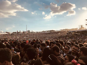 A vibrant crowd cheering at an outdoor summer music festival under a clear blue sky.