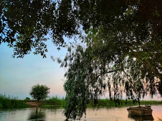 A serene Amazon river scene with a fishing boat at sunrise near lush green forest.