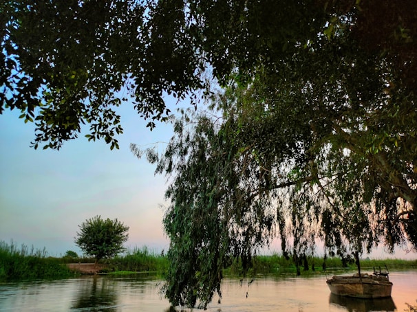 A serene Amazon river scene with a fishing boat at sunrise near lush green forest.