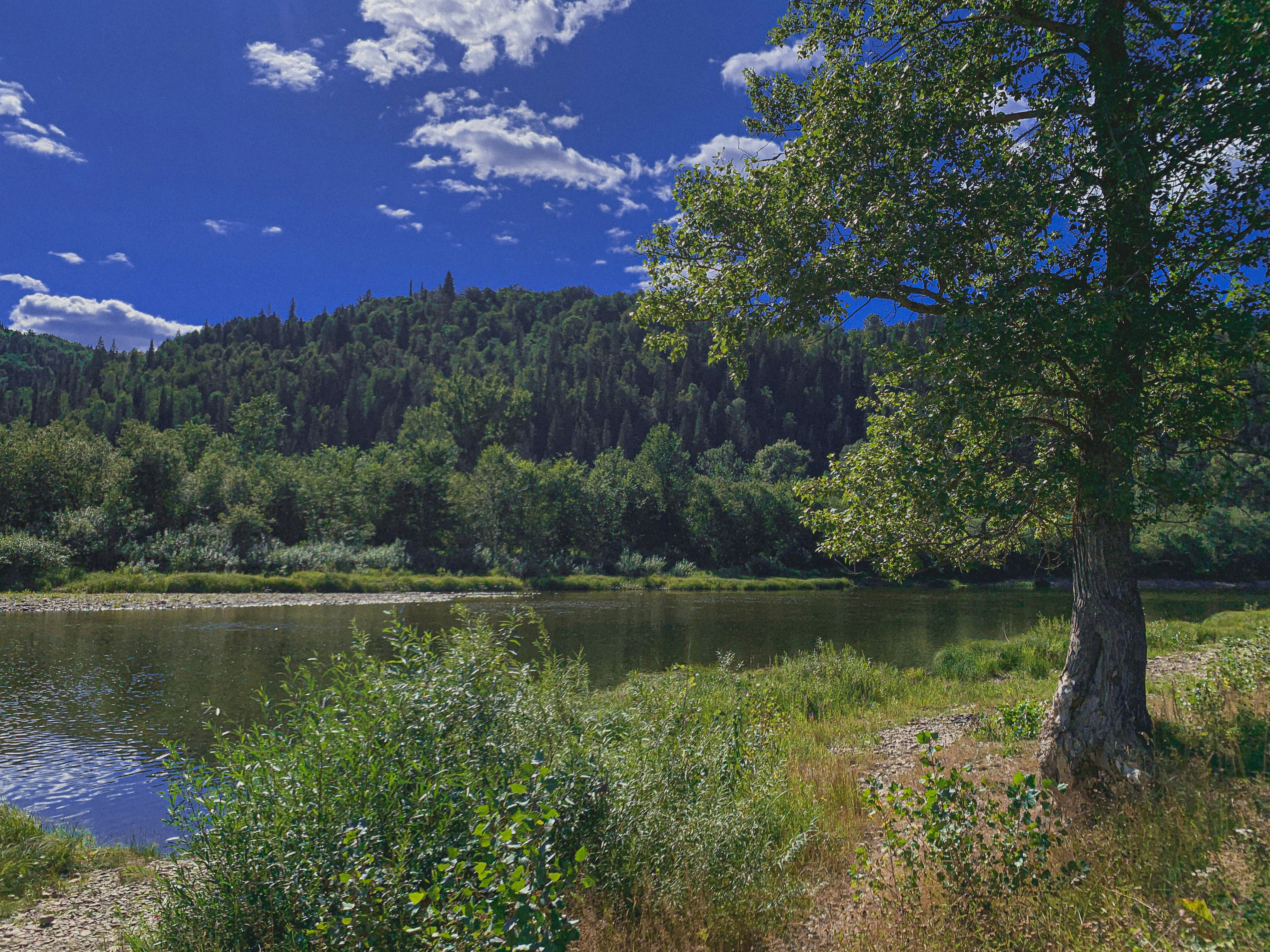 Photo by flyinginalie