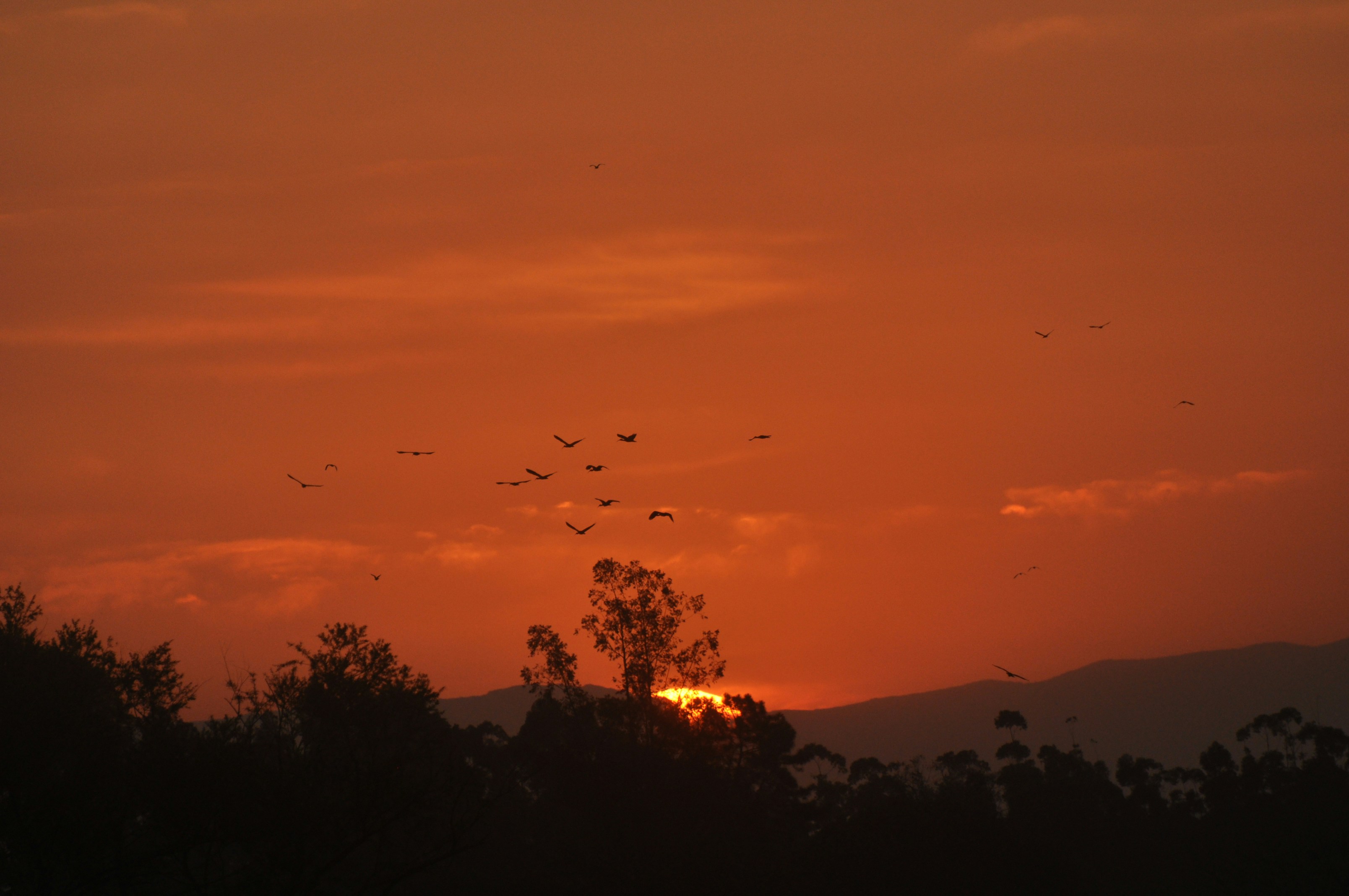 Photo by checocanto