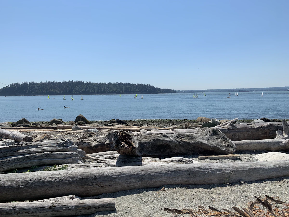 Driftwood and sailboats on the West Vancouver waterfront at Ambleside