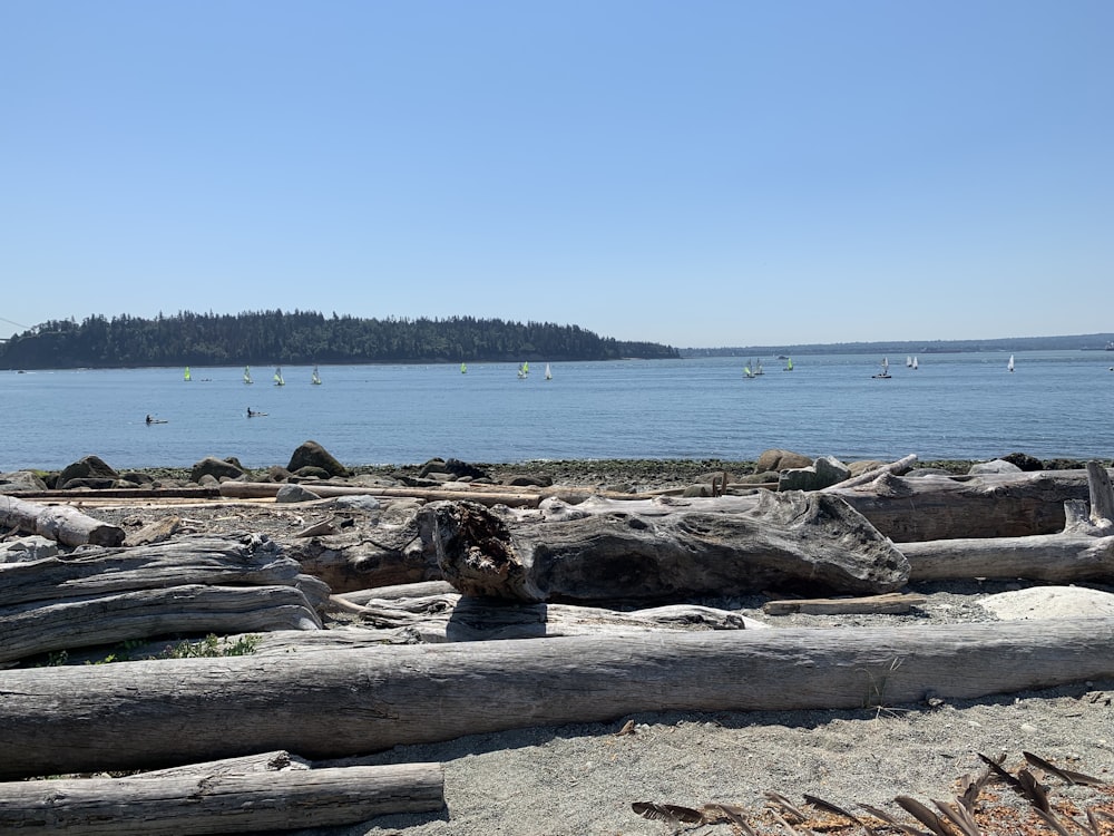 a beach with many boats in the water