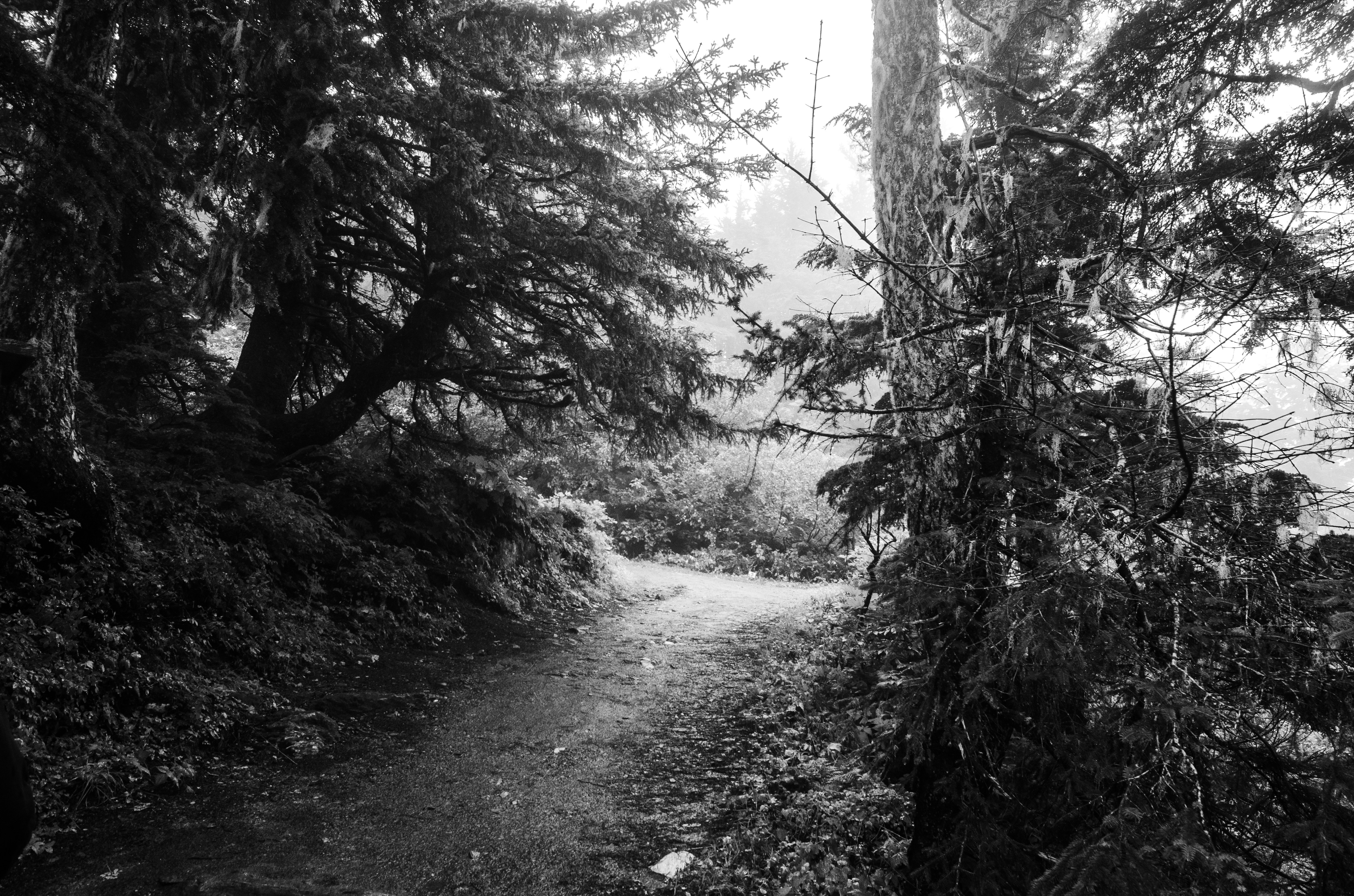 Photo by electronphotography