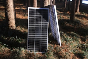 a white ladder in a forest