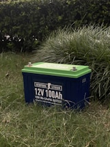 A lithium battery labeled 12V 100Ah is situated on grass, with its green top contrasting with its dark blue body. The background features a thick hedge, adding a natural setting to the image.