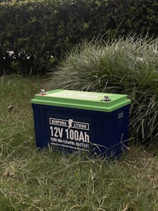 A lithium battery labeled 12V 100Ah is situated on grass, with its green top contrasting with its dark blue body. The background features a thick hedge, adding a natural setting to the image.