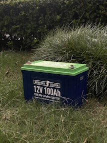 A lithium battery labeled 12V 100Ah is situated on grass, with its green top contrasting with its dark blue body. The background features a thick hedge, adding a natural setting to the image.