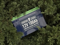 A lithium battery labeled 'NEWPOWA LITHIUM 12V 100Ah 1280 Wh LiFePO4 BATTERY' is surrounded by lush green foliage.