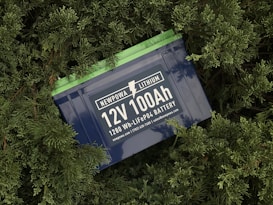 A lithium battery labeled 'NEWPOWA LITHIUM 12V 100Ah 1280 Wh LiFePO4 BATTERY' is surrounded by lush green foliage.