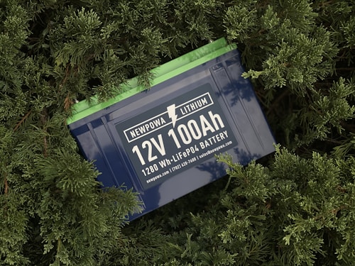 A lithium battery labeled 'NEWPOWA LITHIUM 12V 100Ah 1280 Wh LiFePO4 BATTERY' is surrounded by lush green foliage.