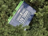 A 12V 100Ah lithium battery with the branding Newpowa is surrounded by dense green foliage. The battery case is blue, and it prominently displays technical specifications, along with website and contact details.