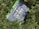 A 12V 100Ah lithium battery with the branding Newpowa is surrounded by dense green foliage. The battery case is blue, and it prominently displays technical specifications, along with website and contact details.
