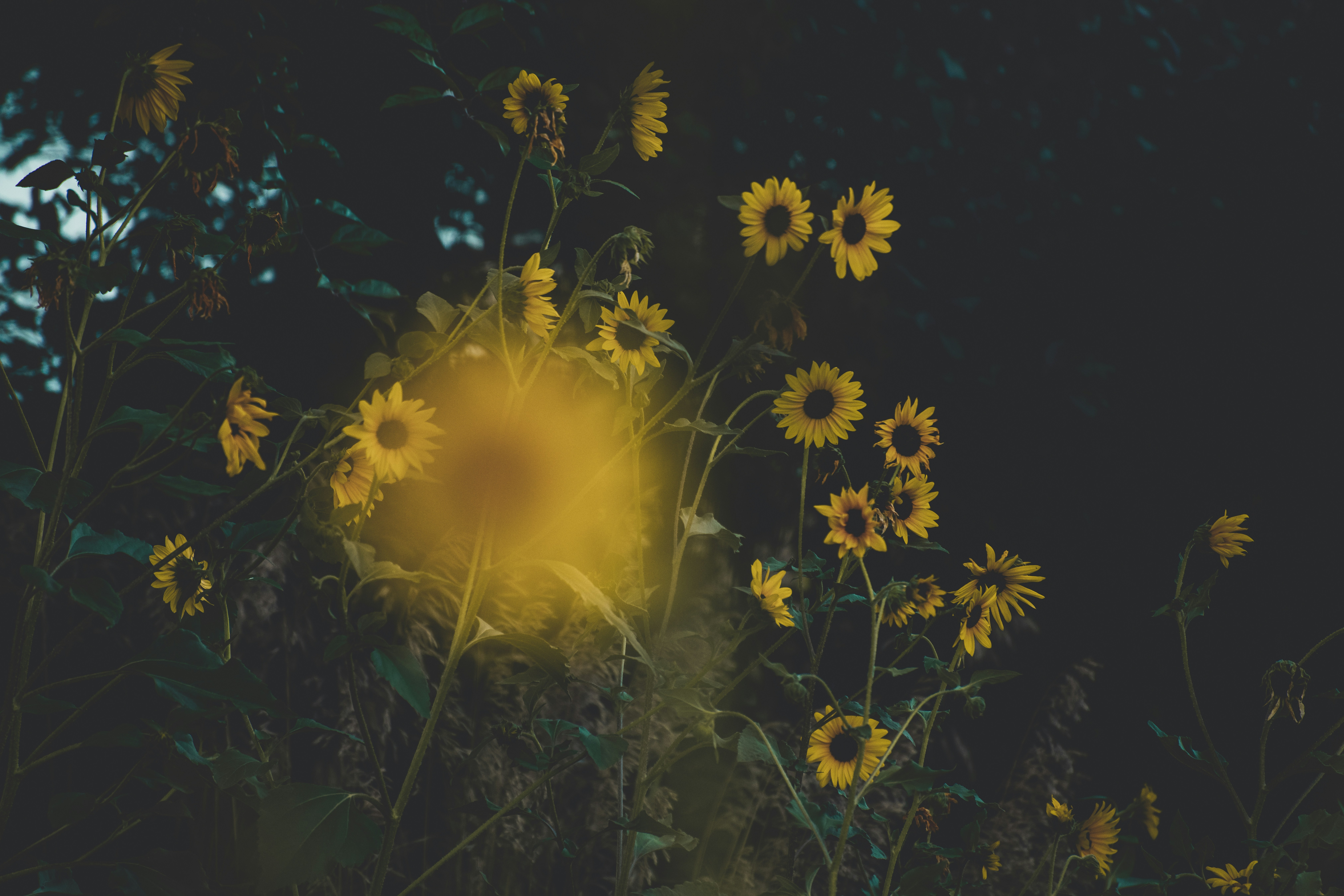 Photo by timmossholder