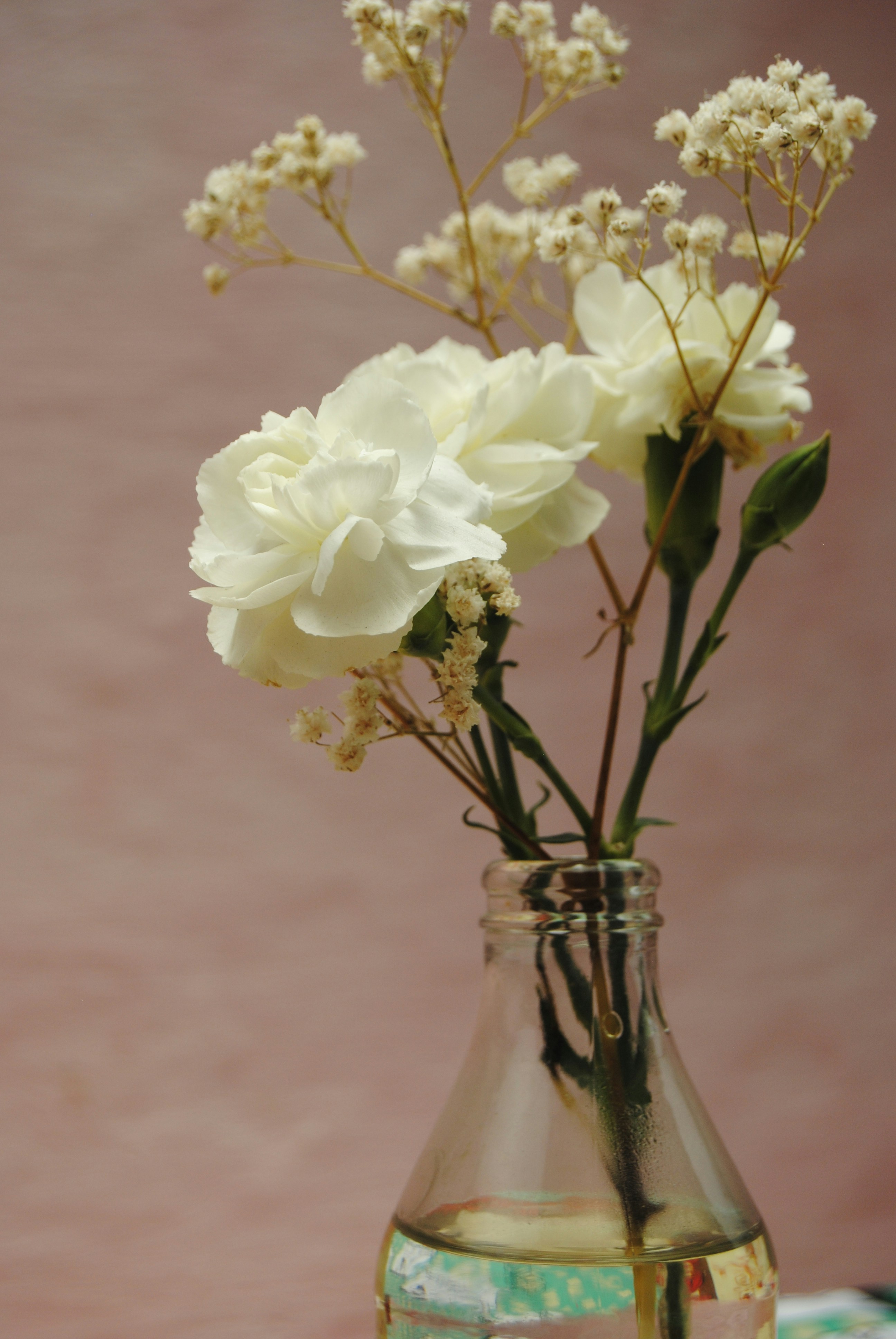 a vase with white flowers
