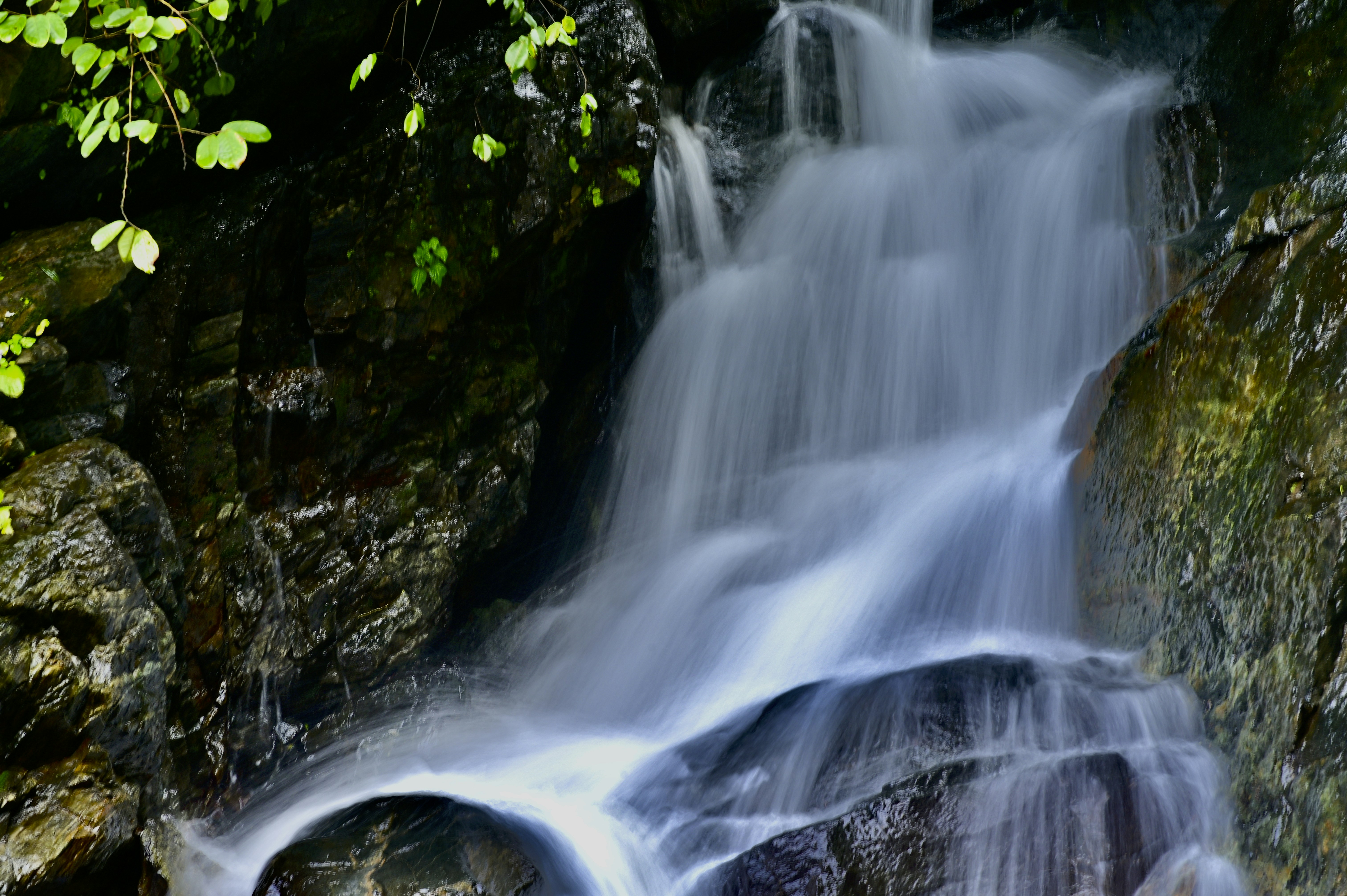 Photo by rrajputphotography