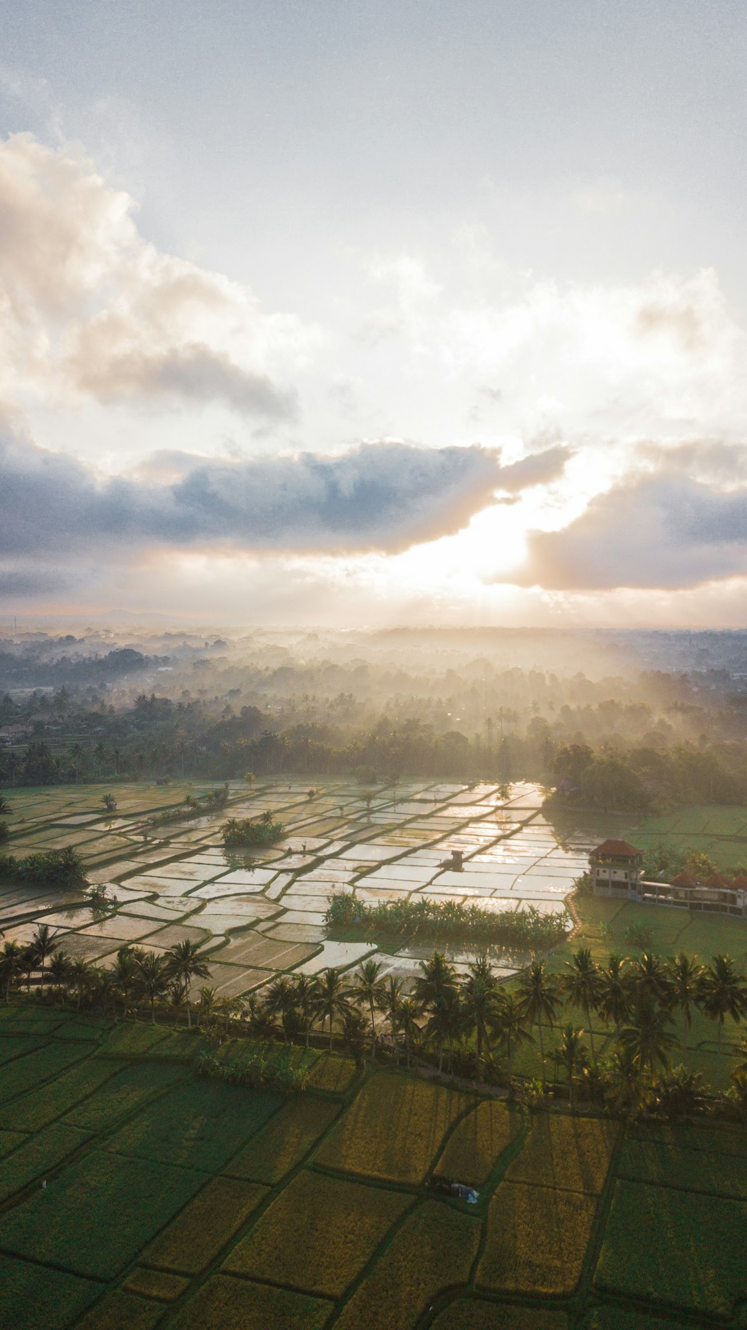 Ecoregion photo spot Ubud Klungkung Regency