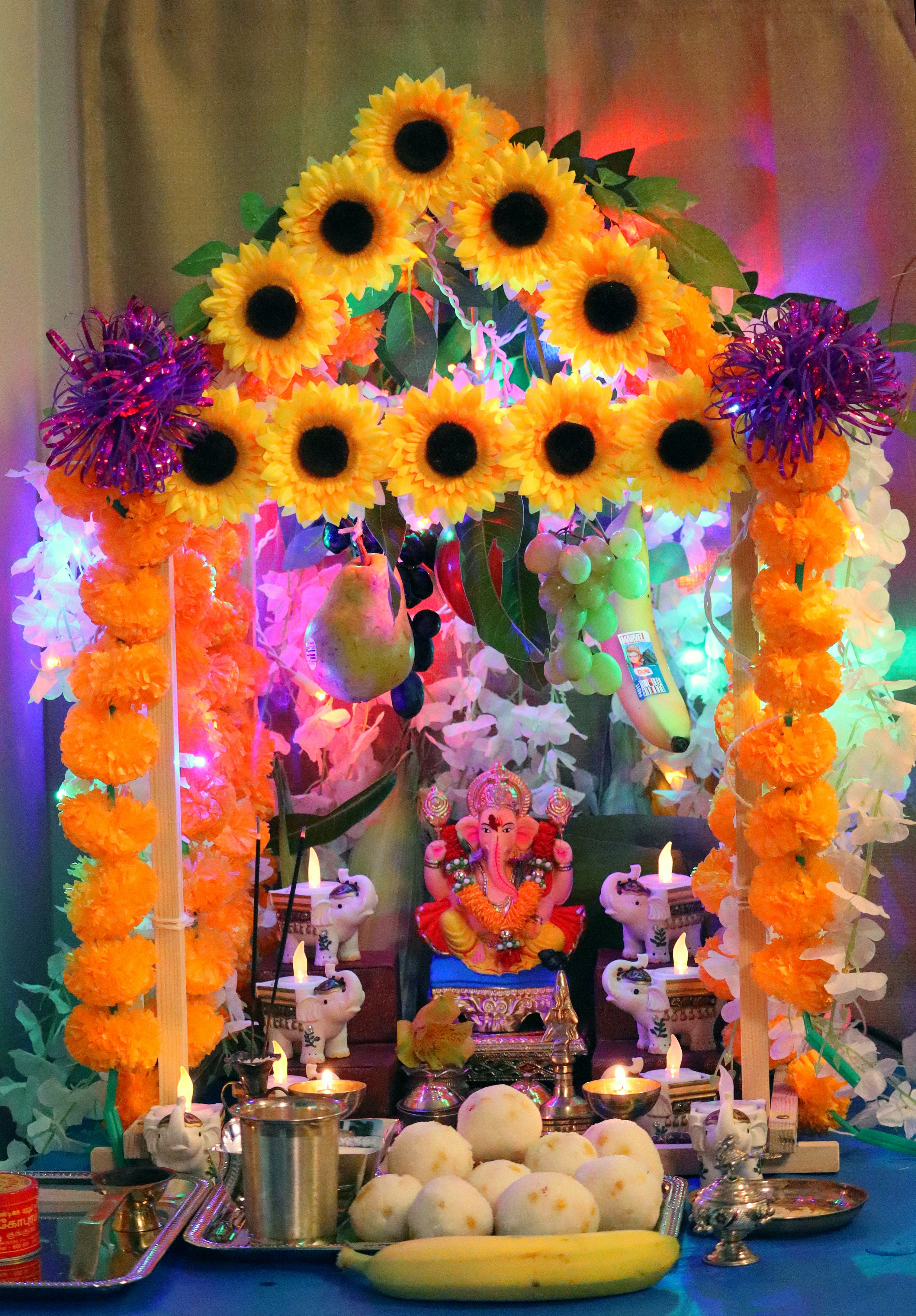 a display of flowers