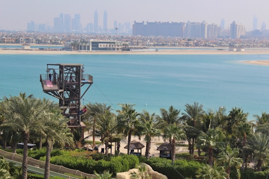 A tropical beach scene features a lush landscape of palm trees in the foreground and an elevated structure that appears to be a zipline platform. Beyond the platform lies a vast expanse of bright turquoise water, with a distant view of urban architecture and skyscrapers lining the horizon.