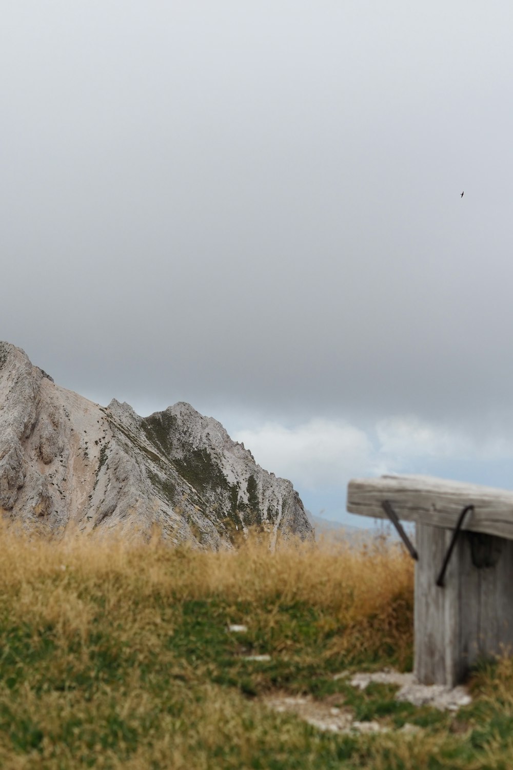 a wooden structure in a grassy area