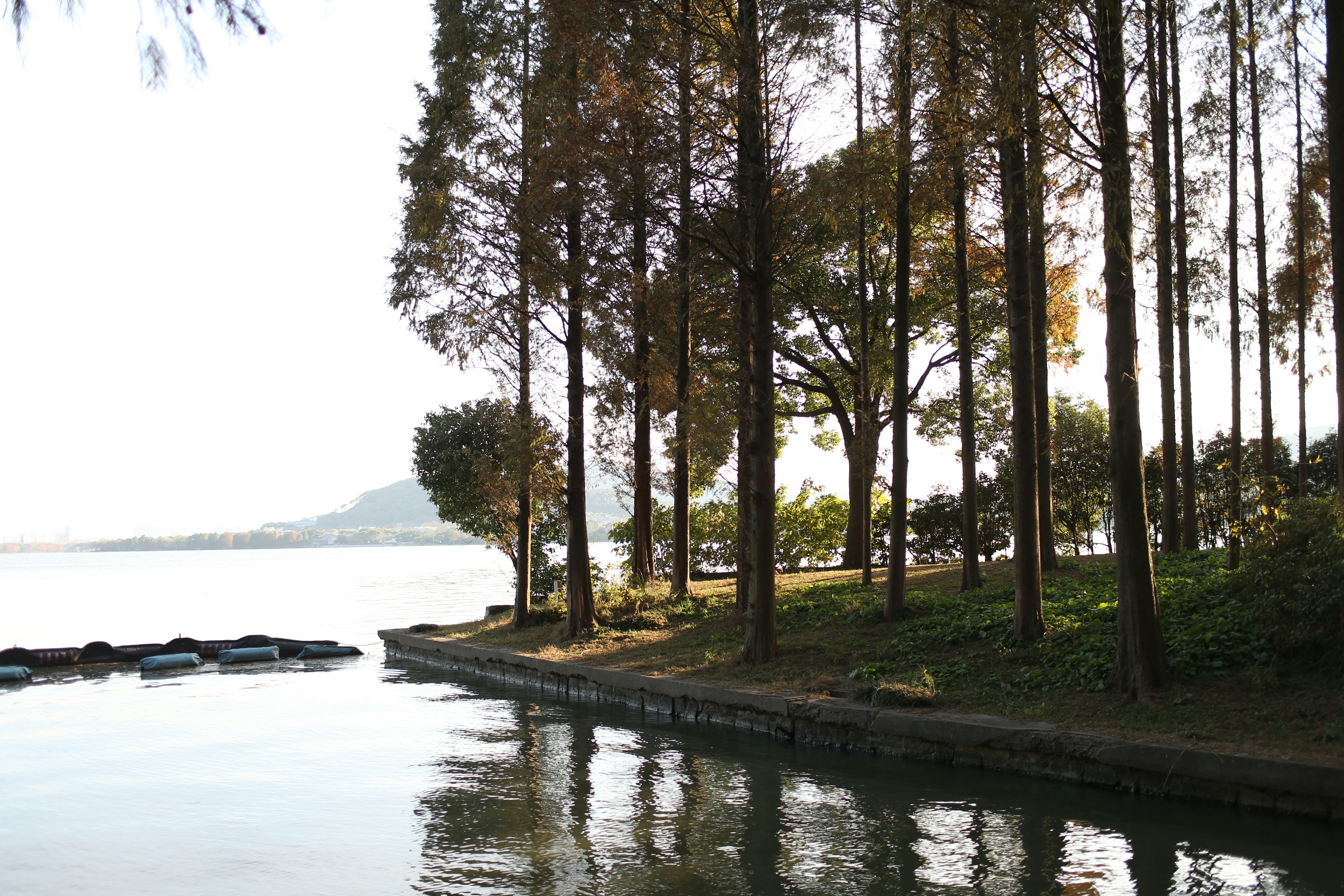 a body of water with boats in it and trees around it