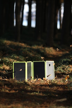A foldable solar panel placed on the forest floor, surrounded by tall trees with sunlight filtering through the branches. Fallen leaves are scattered around, and a few are caught mid-air, indicating a gentle breeze in the forest setting.