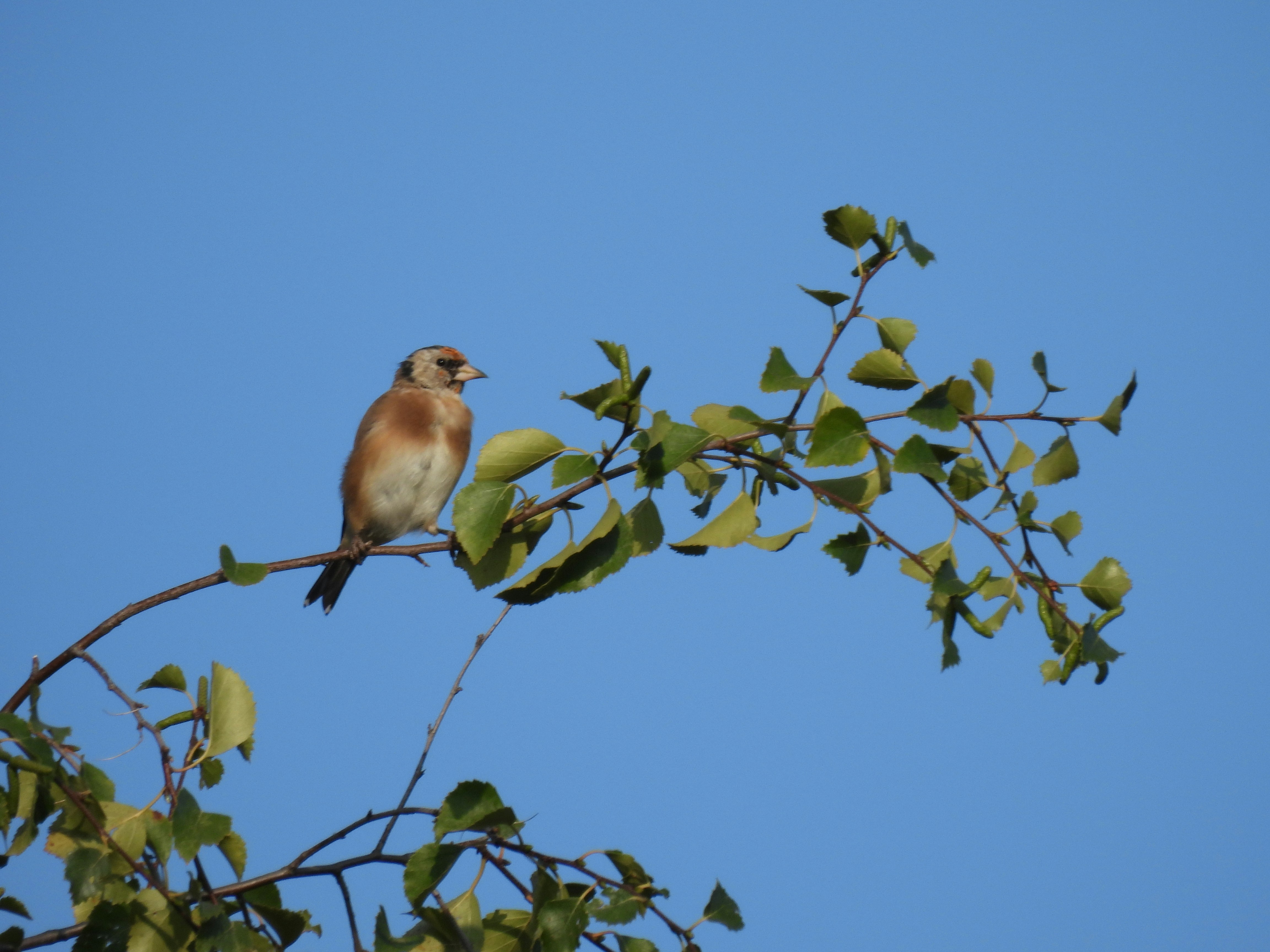 Photo by kevinyates64