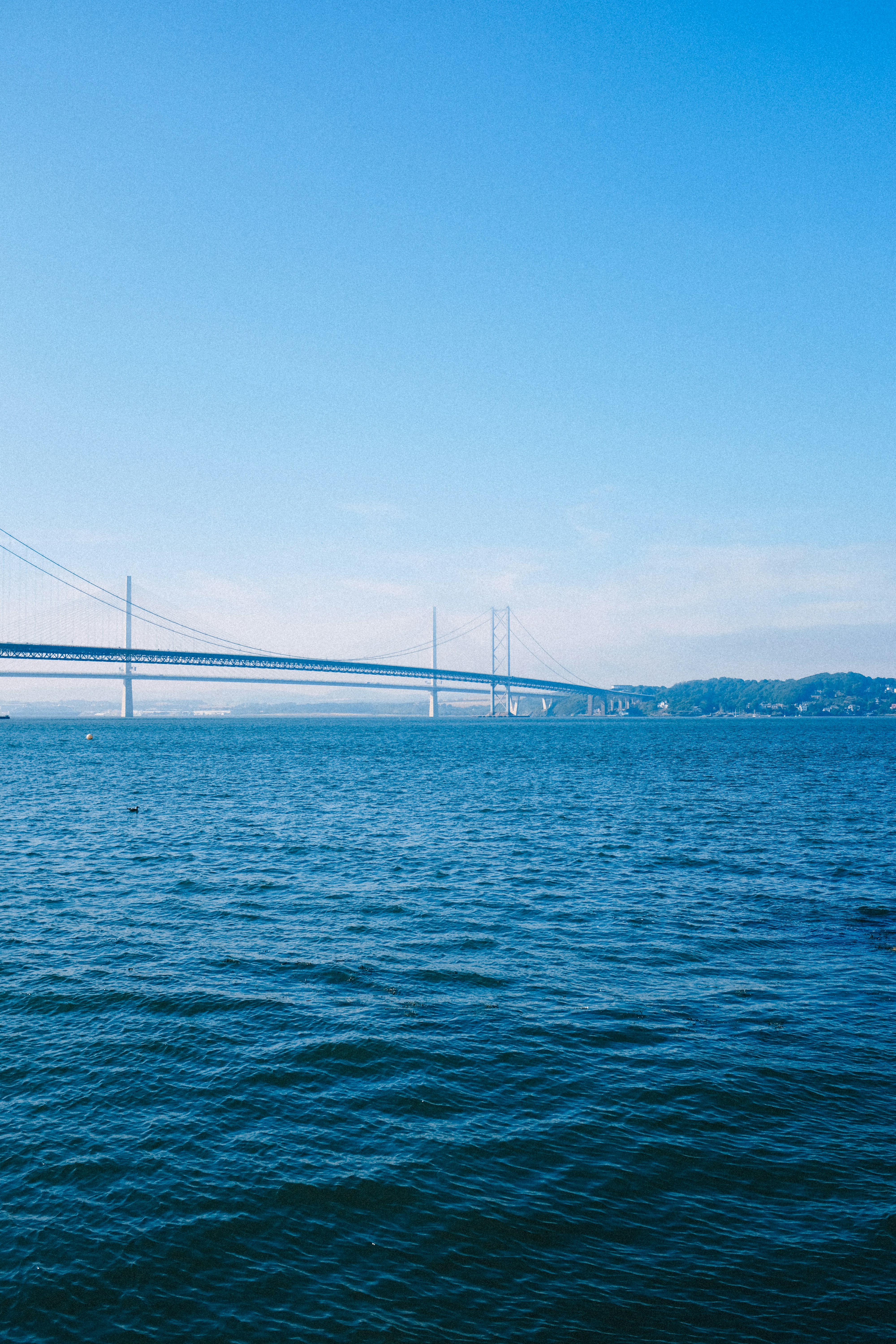 Photo by adrienolichon