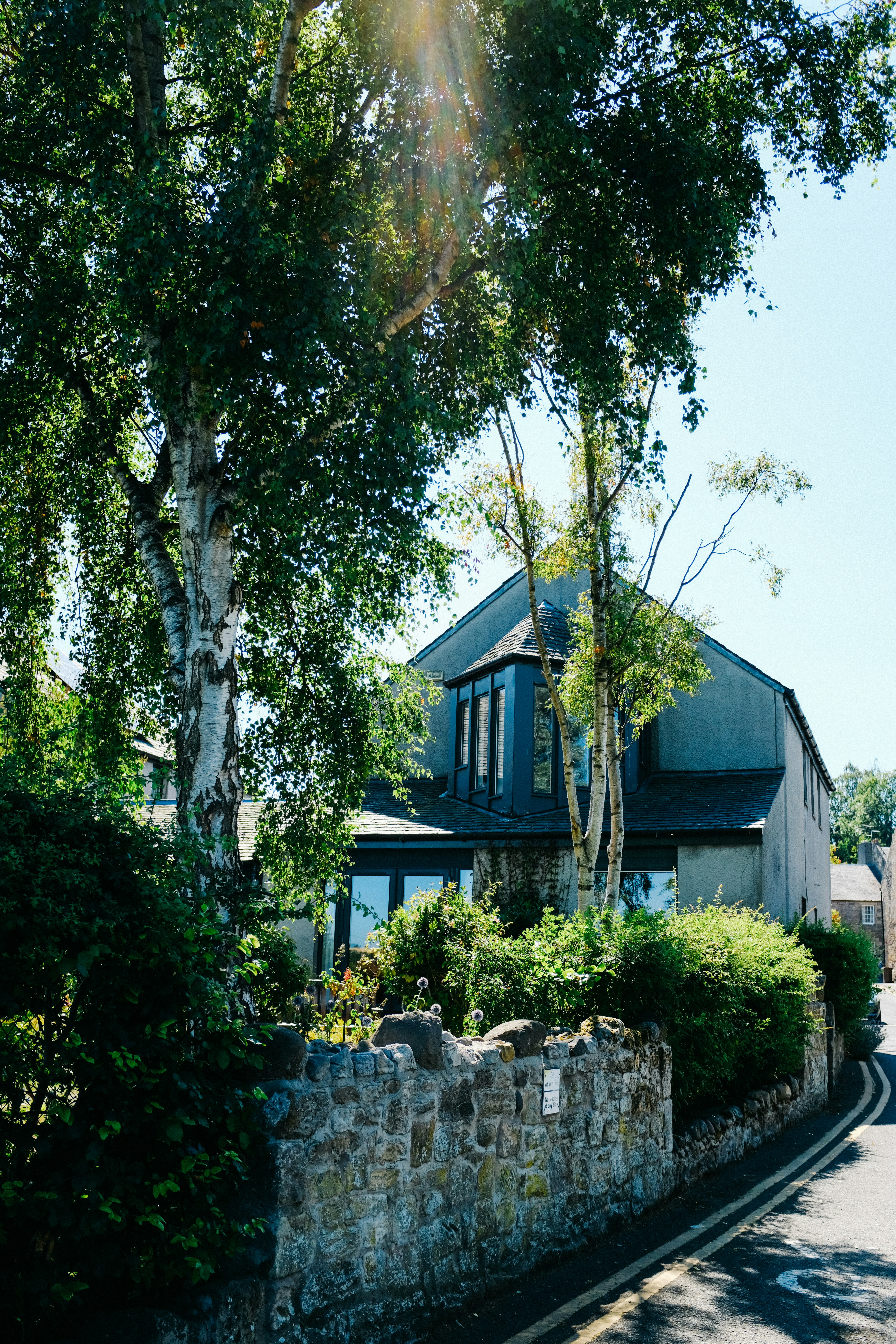 Photo by adrienolichon