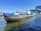 A large cargo boat named 'Wabo 3' floats on a waterway. The front is painted blue, while the rest of the boat shows signs of rust and age. In the background, there's a modern glass and steel building, and a large cruise ship is partially visible. The sky is clear and blue, and a person is standing on the deck of the boat.