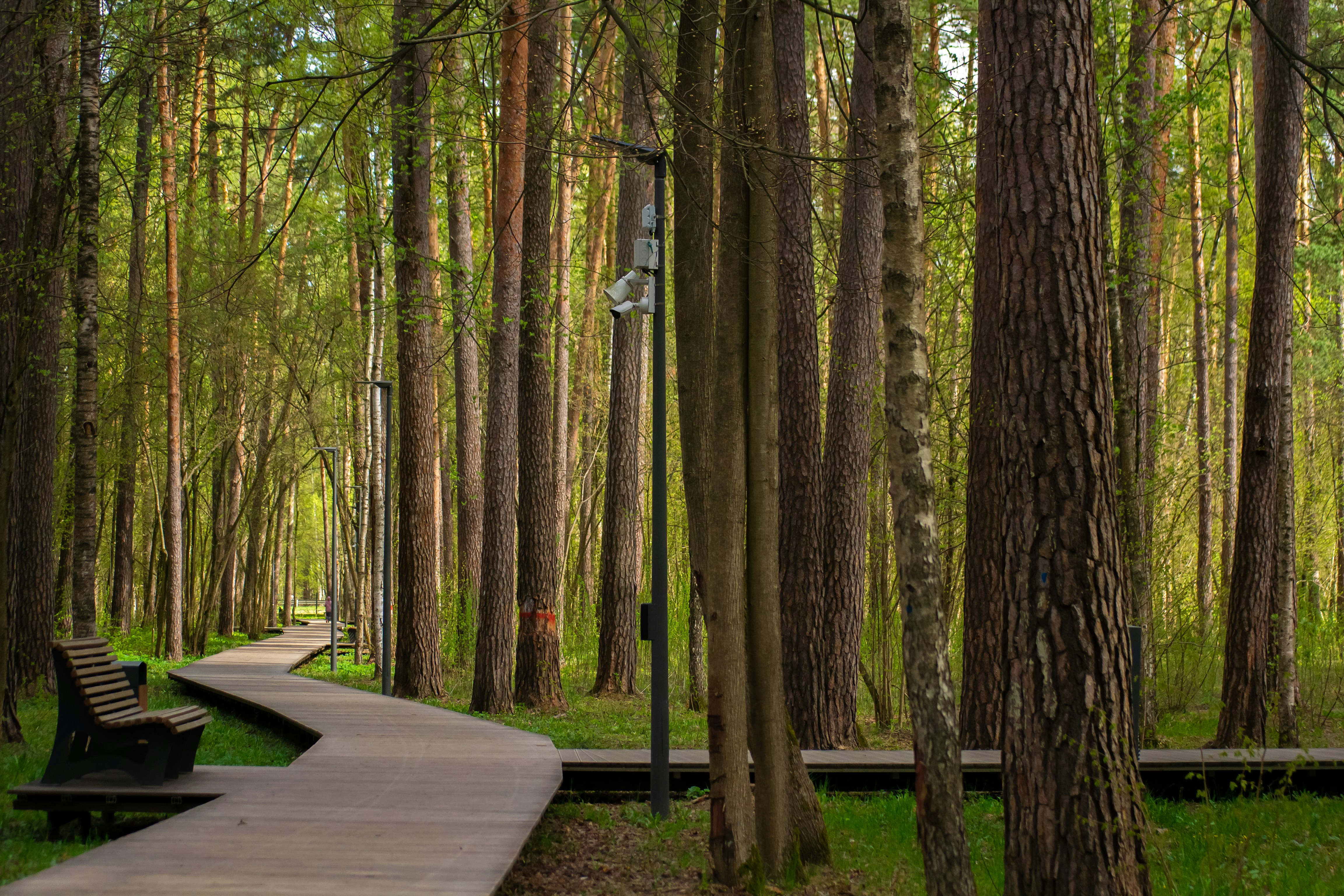 Pils parks