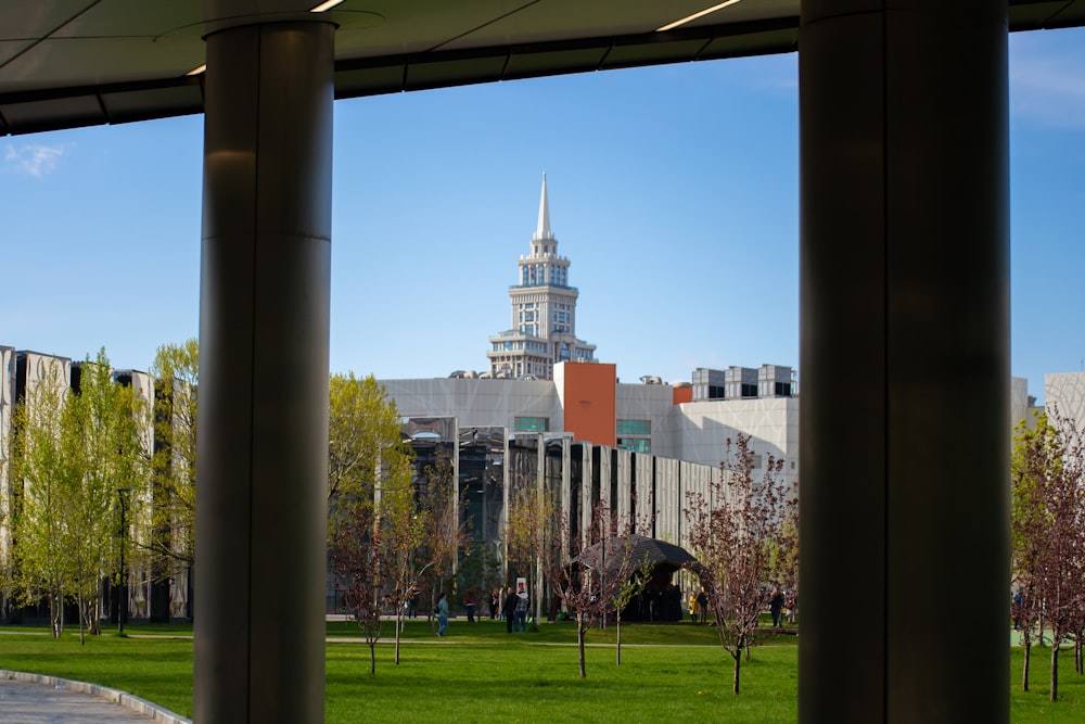 a view of a city from a park