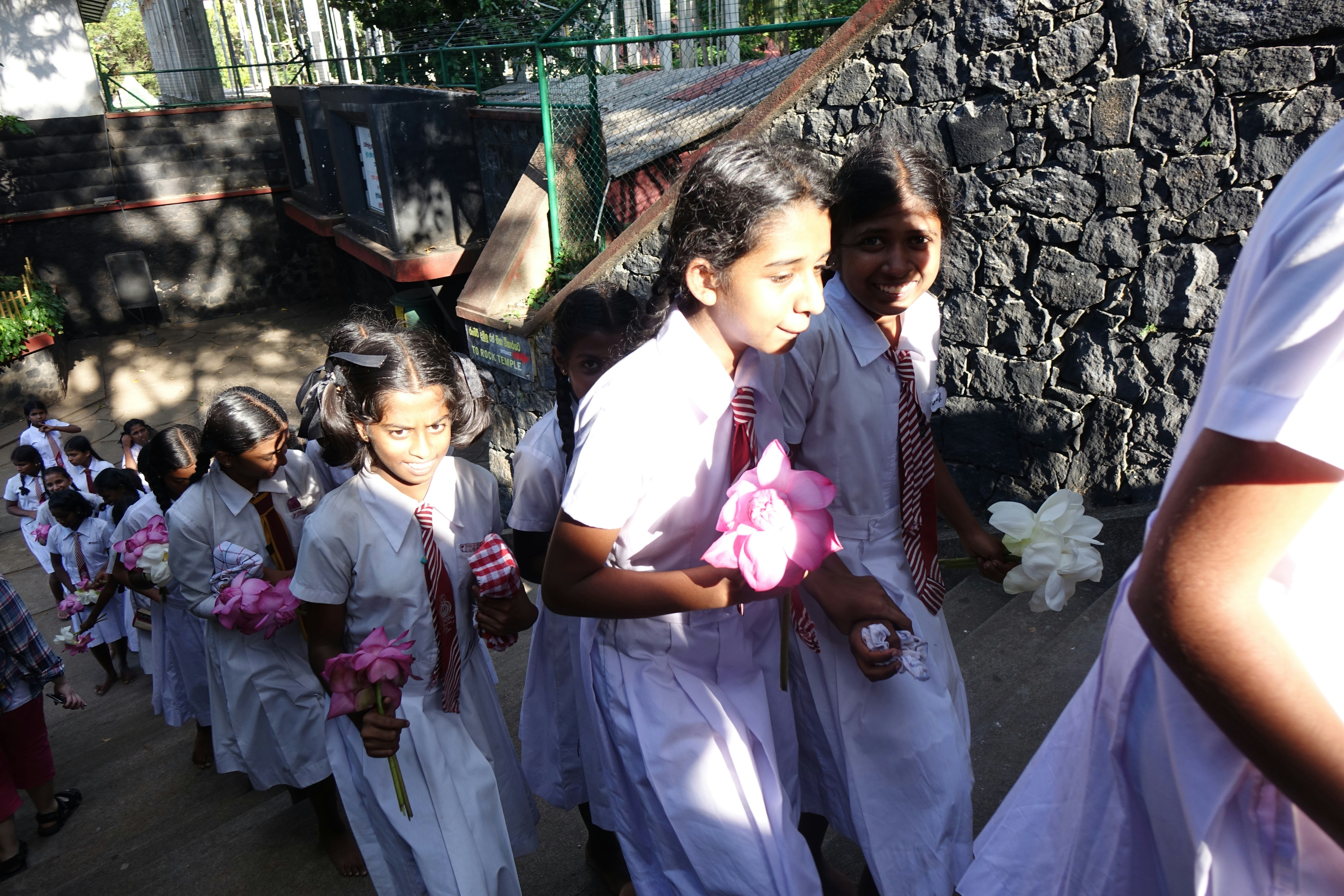 Uniformes Escolares Femininos Elegantes