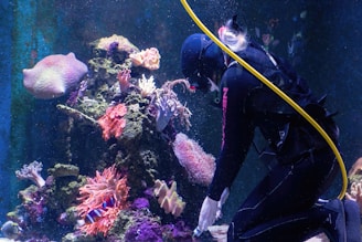 a person in scuba gear underwater