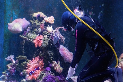 a person in scuba gear underwater