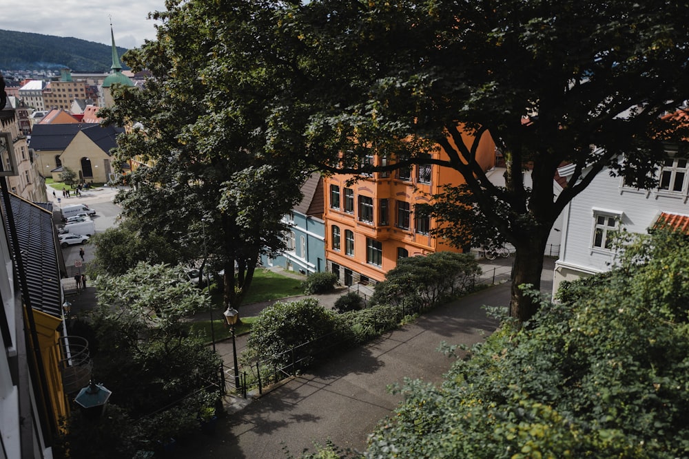 a street with trees and buildings