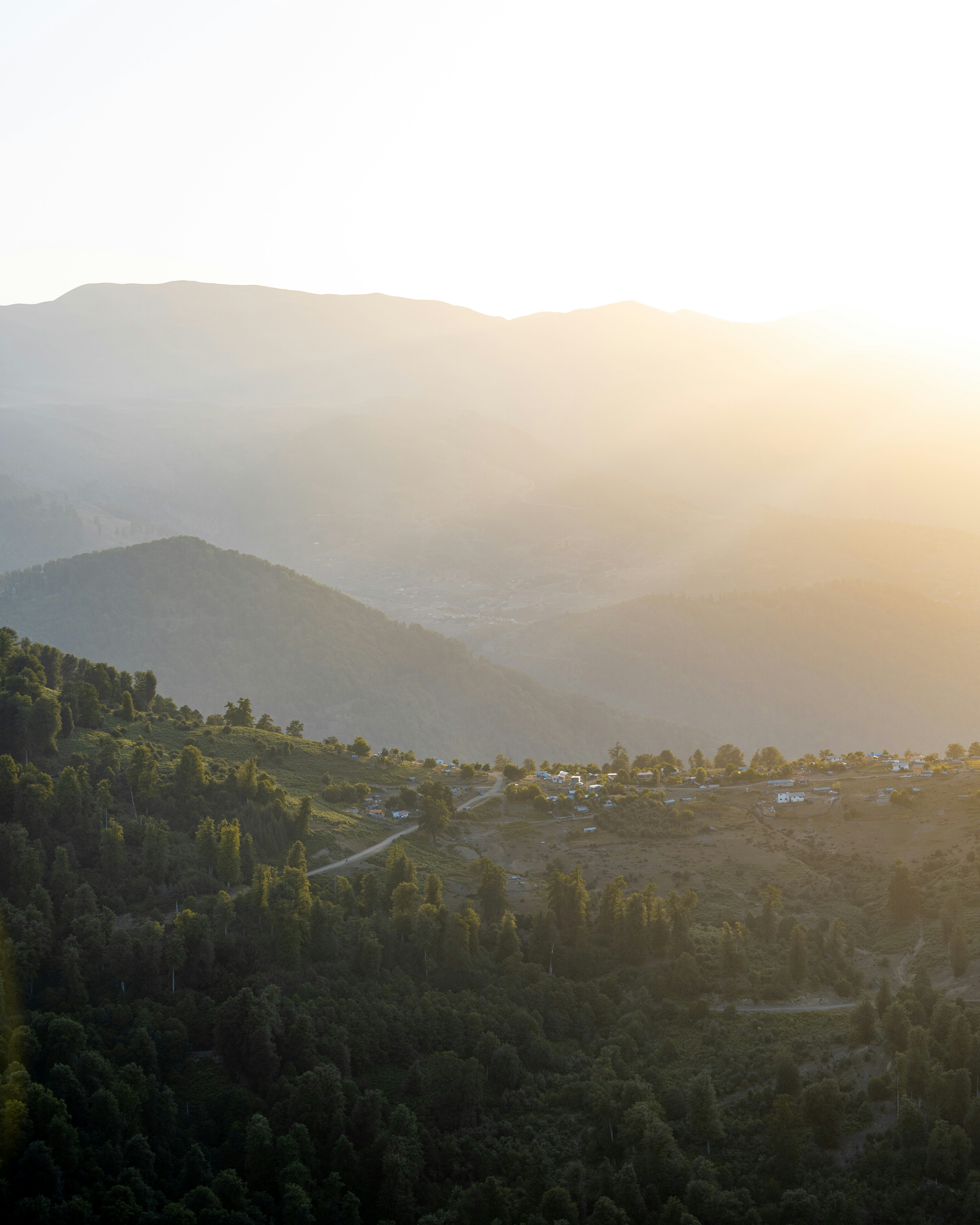 Un paisaje con árboles y colinas