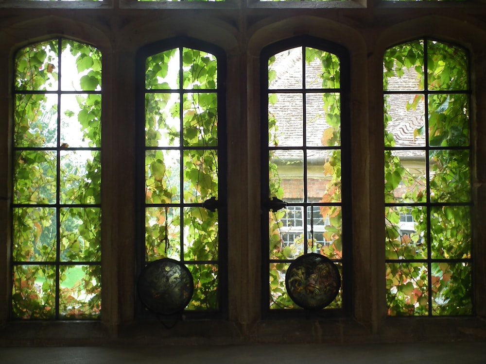 a window with many windows