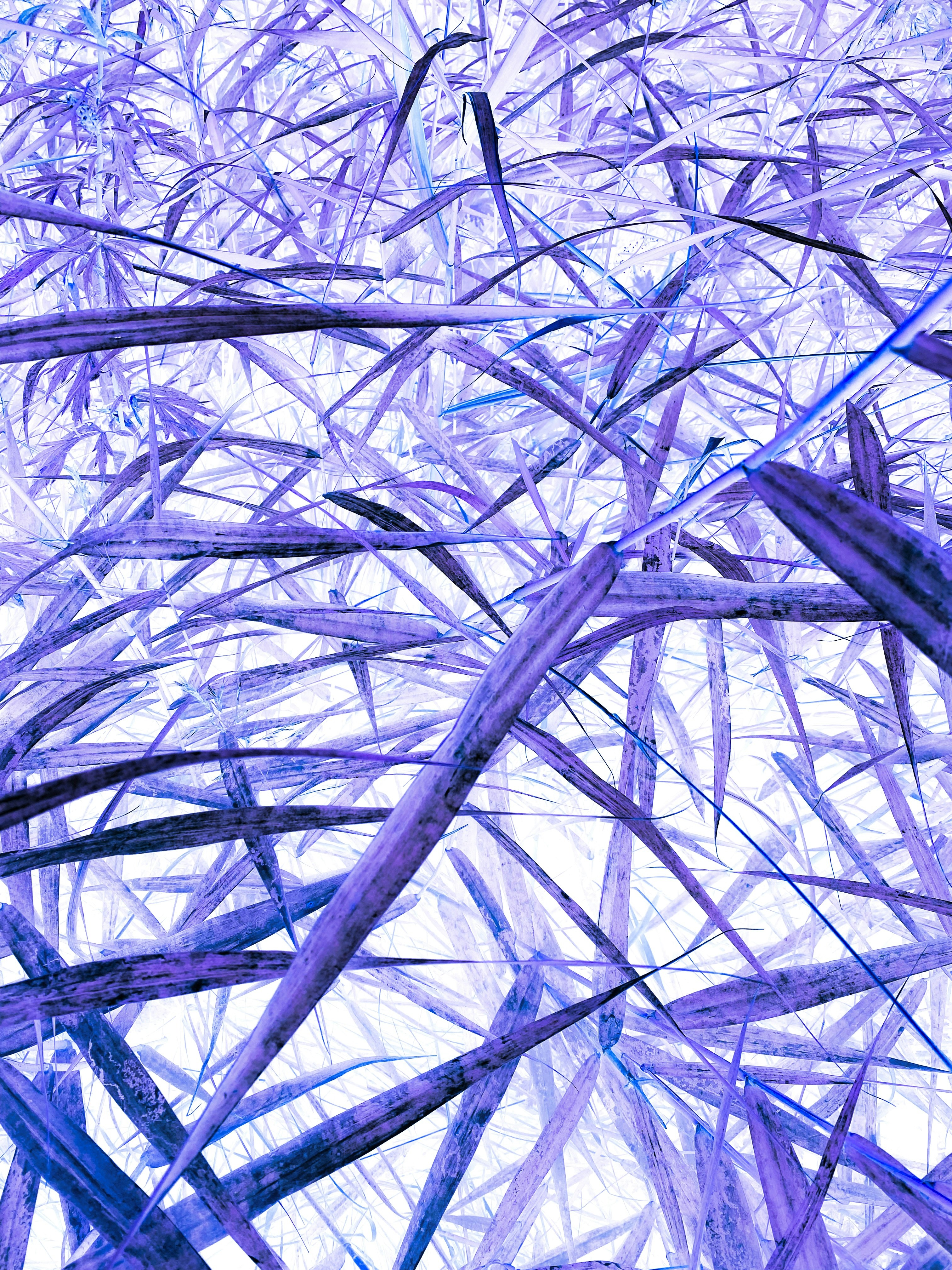 Photo by eugene_golovesov