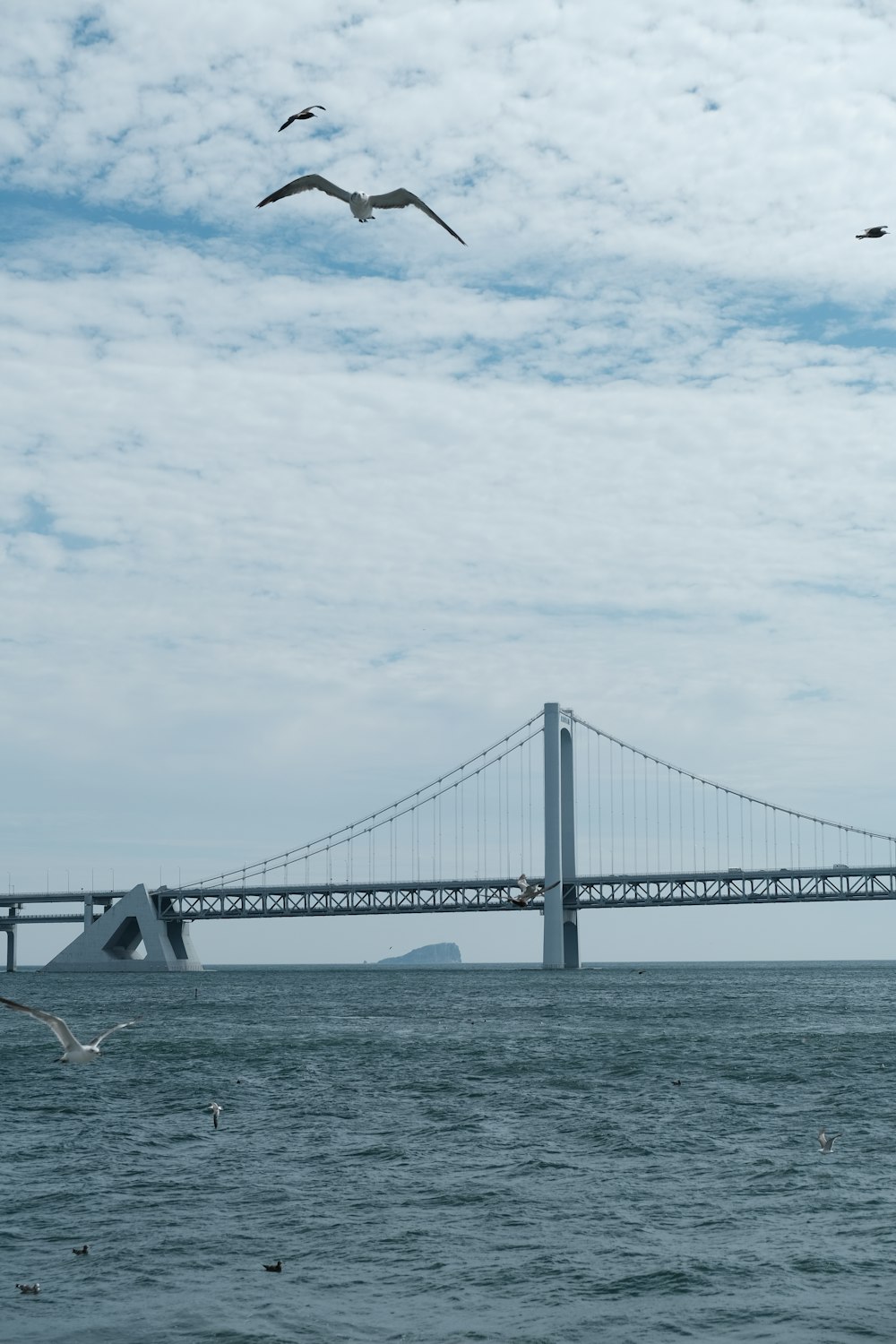 birds flying over a bridge