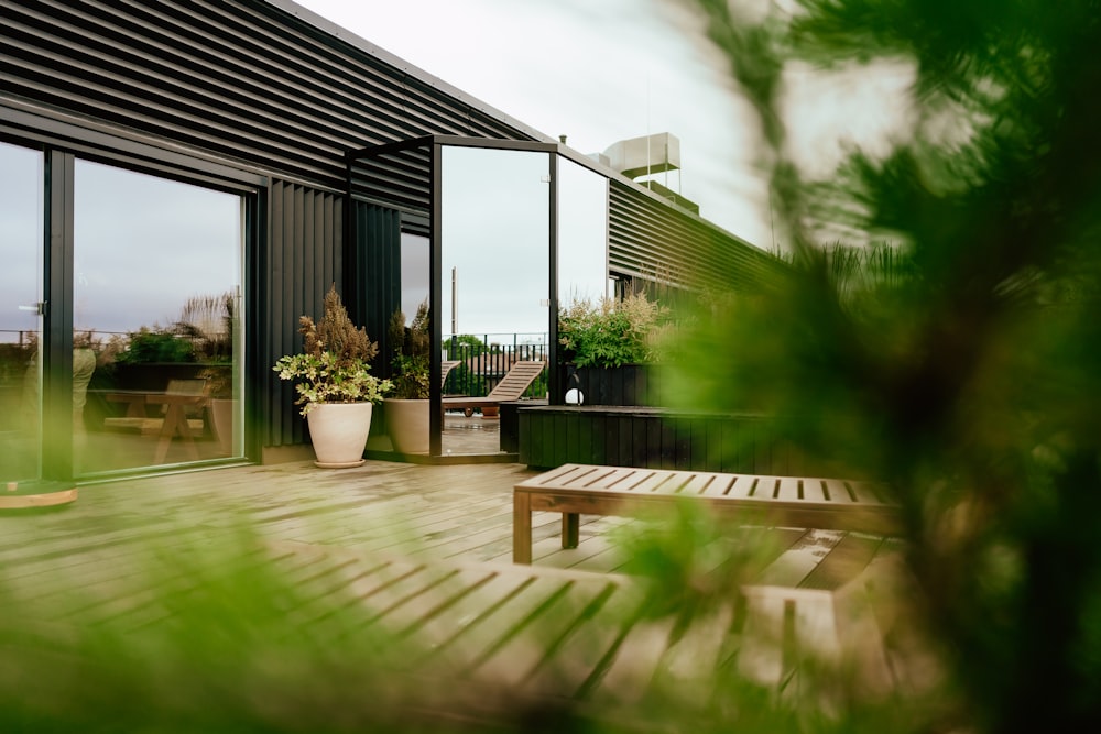 a deck with benches and a plant