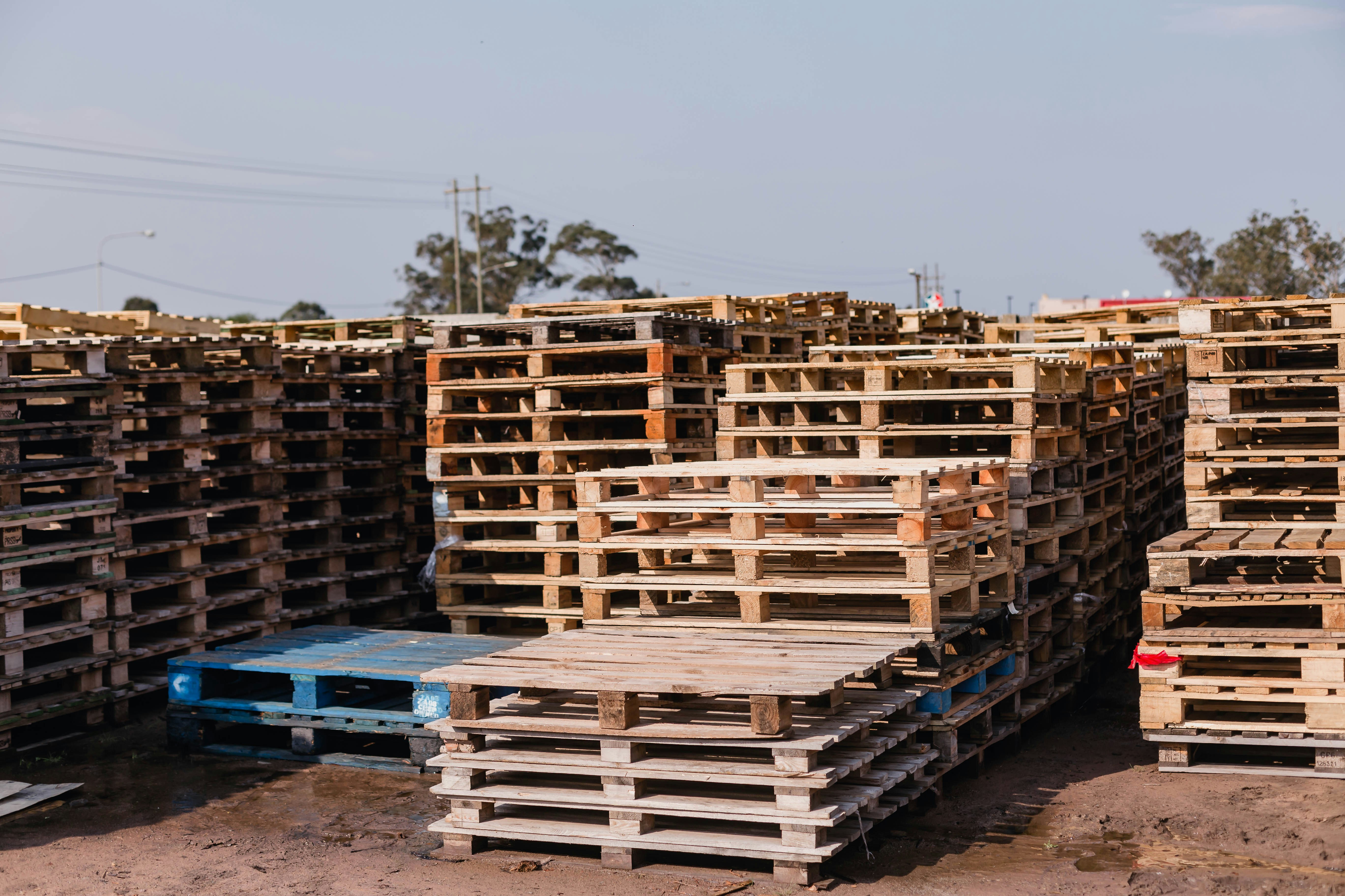 Photo by sincerelymedia