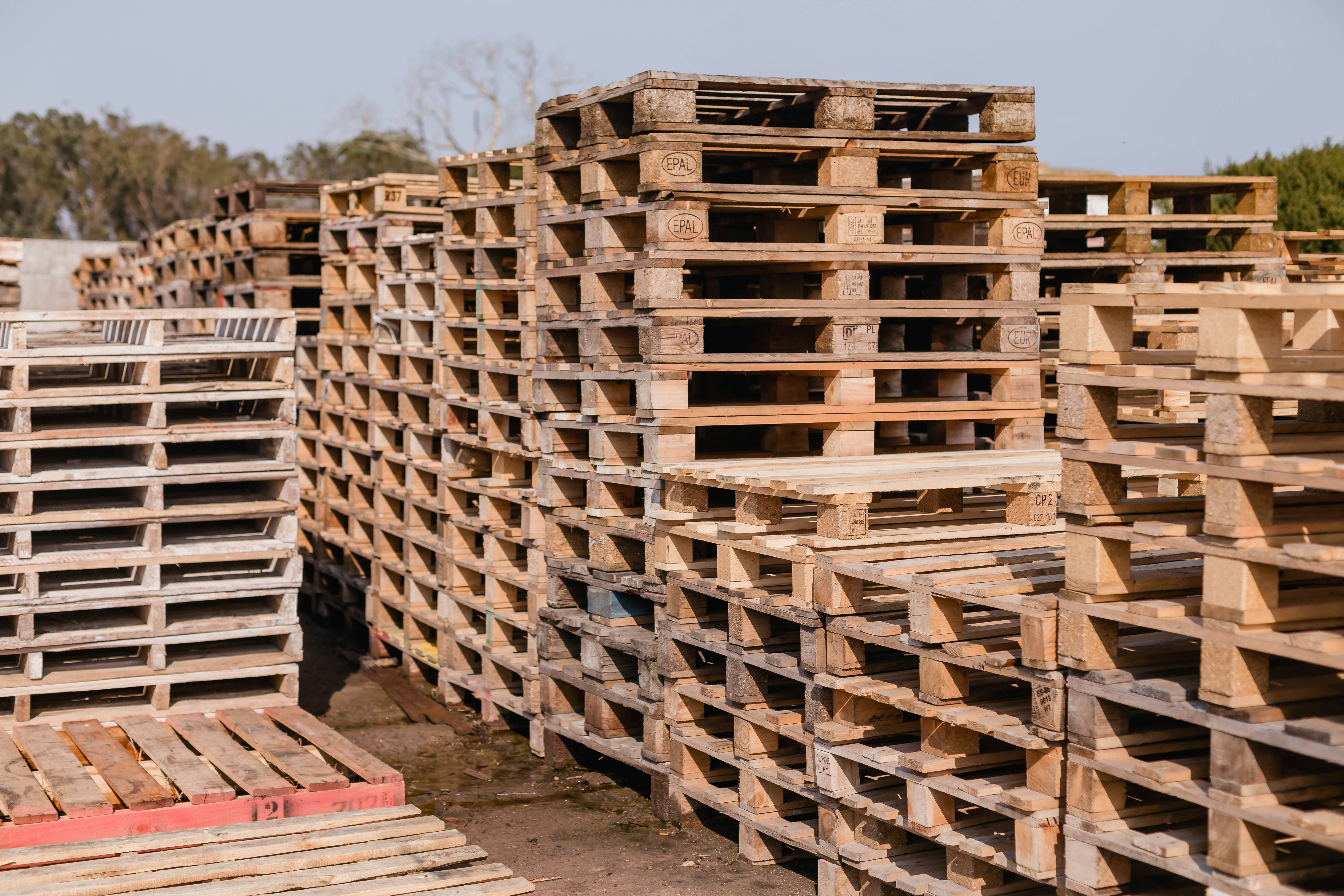 Photo by sincerelymedia