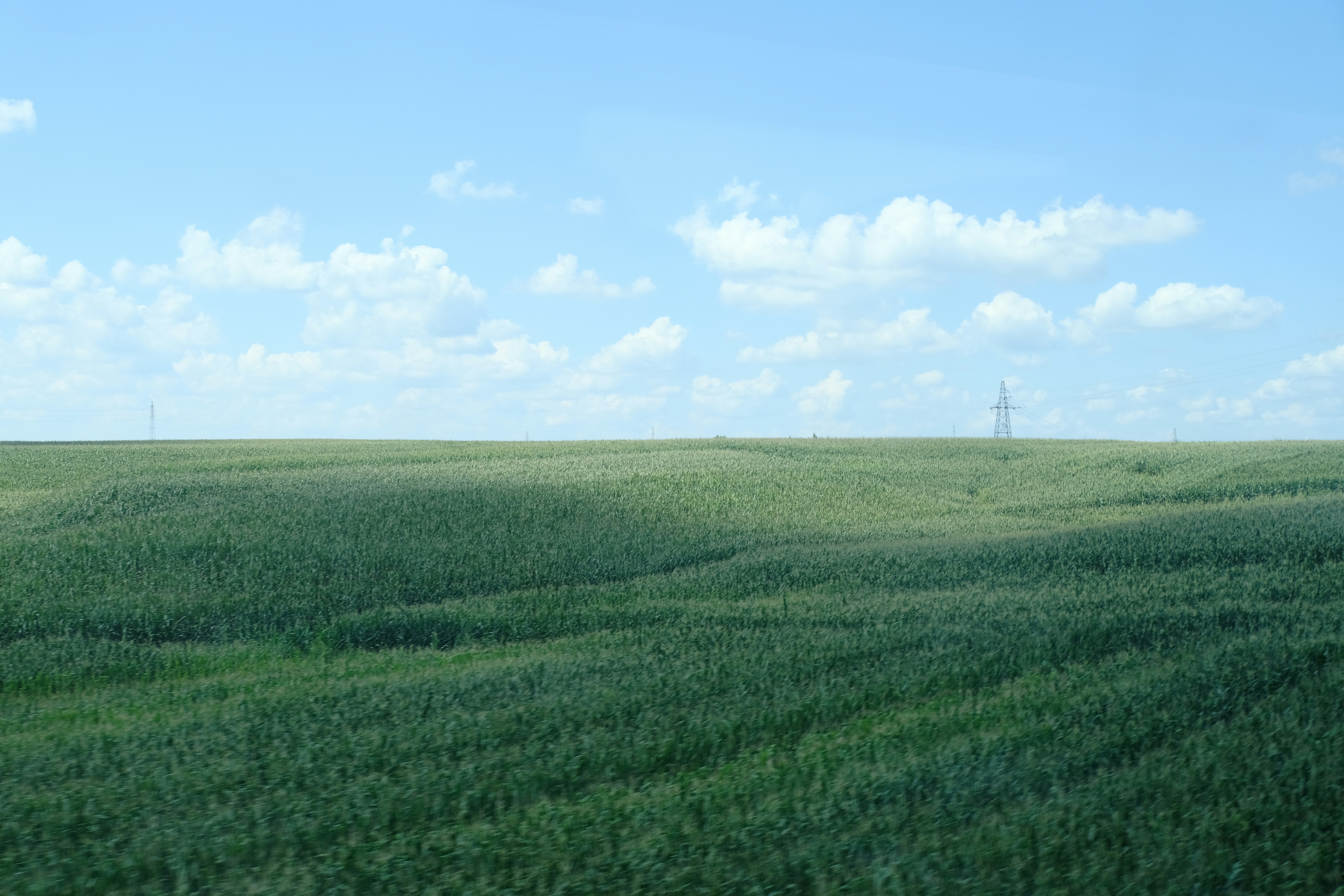 Photo by blank_weiss