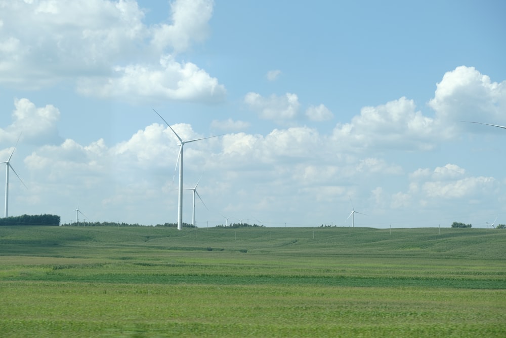 a field with windmills in it
