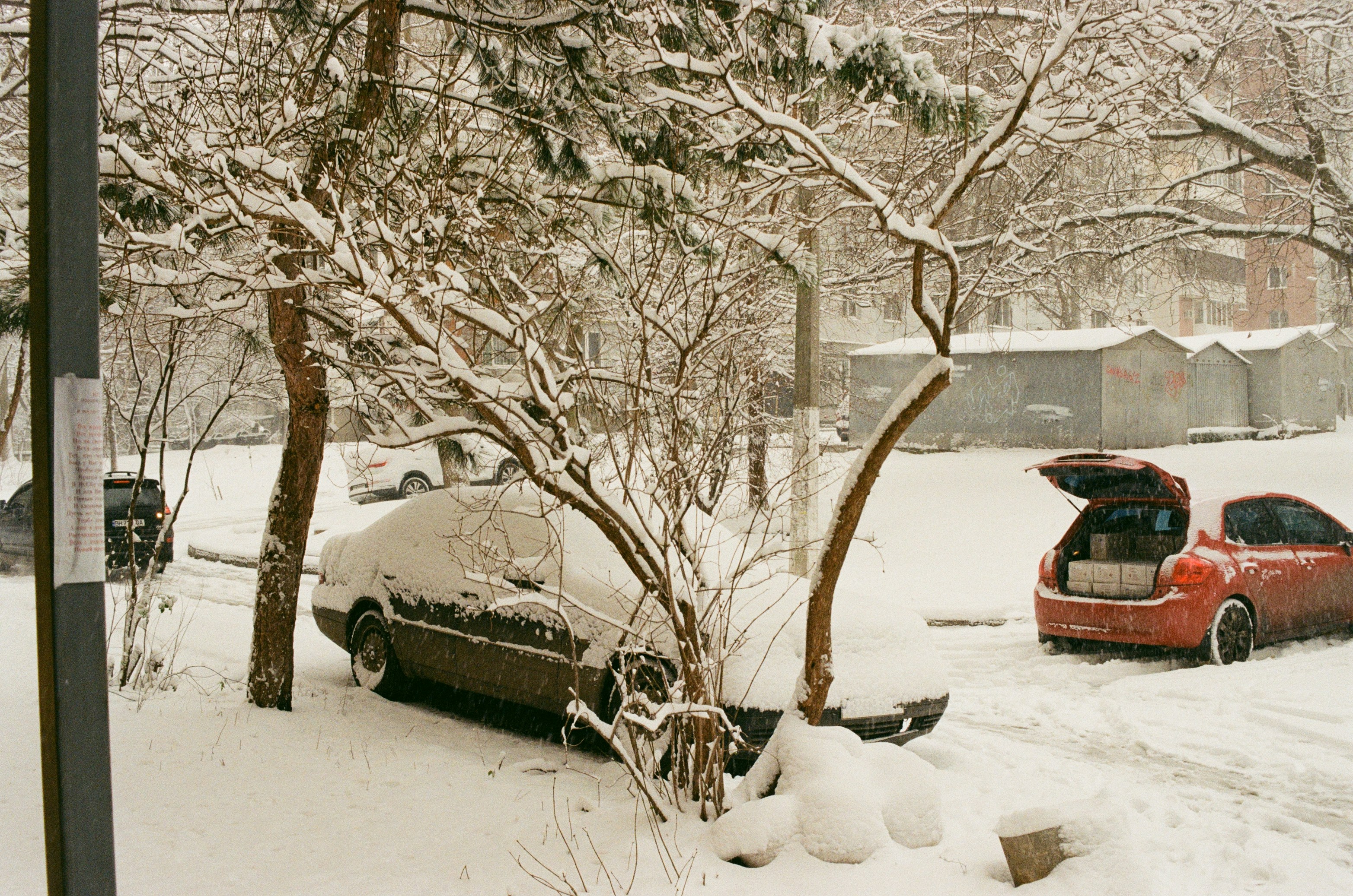 Photo by sashamatveeva