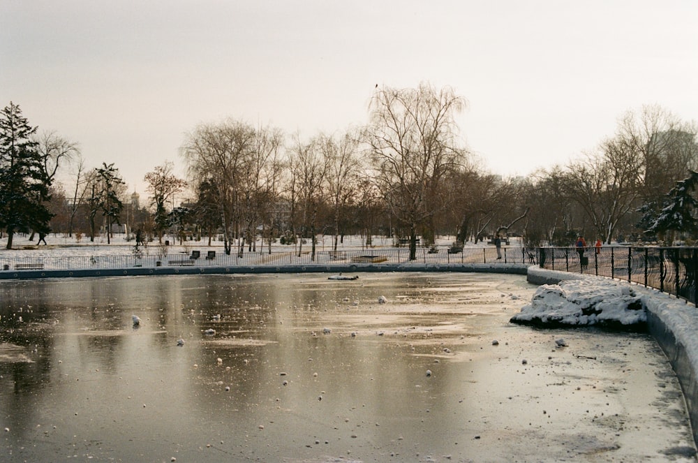 a frozen pond with trees and snow